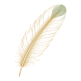 羽根の紋章